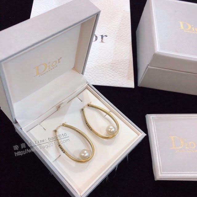 Dior飾品 迪奧經典熱銷款CD耳釘耳環  zgd1208
